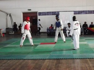 Three week Taekwondo training program